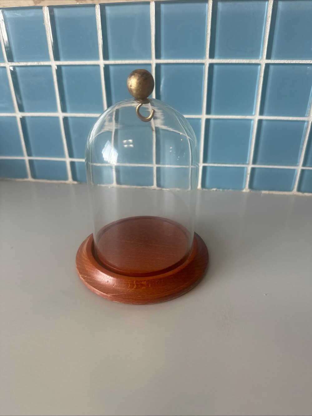 Glass Dome with Wooden Base and Brass Knob Display Cloche